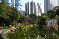 The Path to Good Fortune in Hong Kong